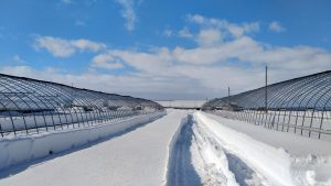 除雪開始（2021）